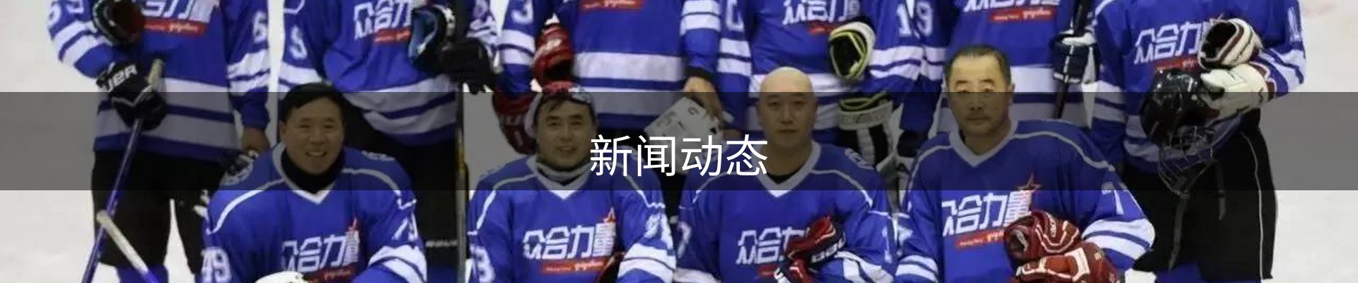 新闻动态