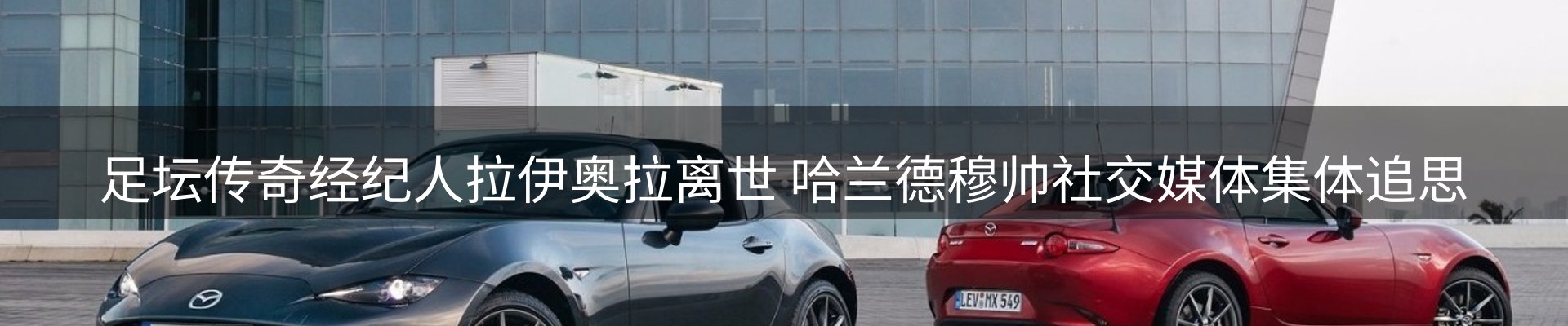 新闻动态